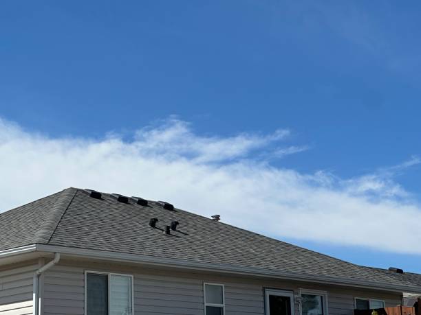 Roof Insulation in Lake Park, FL